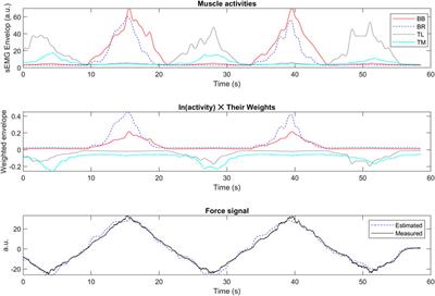 A real-time and convex model for the estimation of muscle force from surface electromyographic signals in the upper and lower limbs